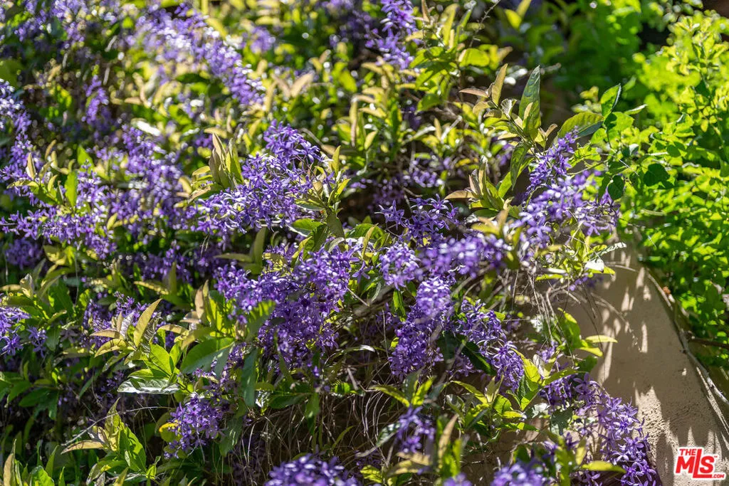 111 S Van Ness Avenue, Los Angeles, California 90004 home-pic-71